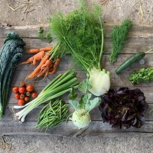 Biodynamische moestuincursus