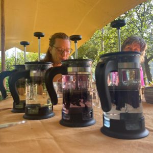 Kruidenthee uit eigen tuin | 9 mei