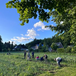 Biodynamisch moestuinieren