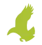 birdie-1