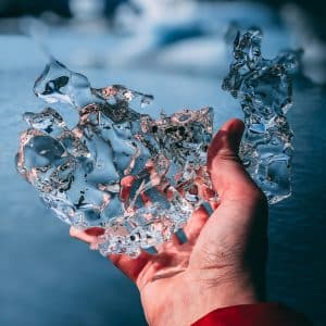Begeleidingskunst in natuur en tuin