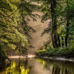 Natuurwezens, overal om ons heen